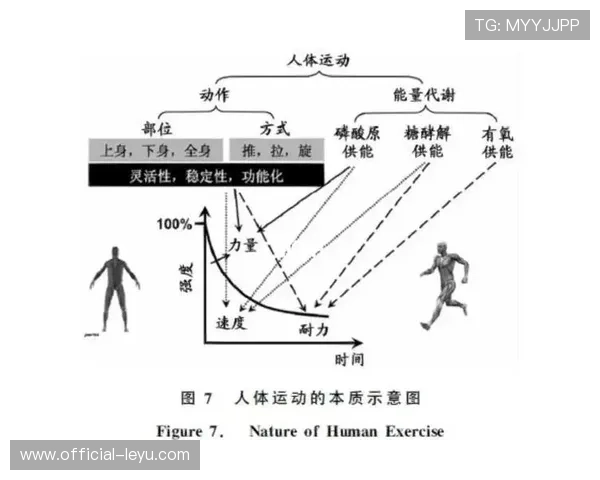 体育技术发展趋势与运动表现优化策略深度分析
